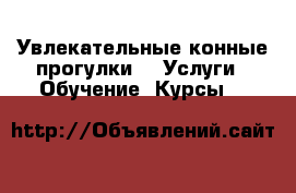 Увлекательные конные прогулки -  Услуги » Обучение. Курсы   